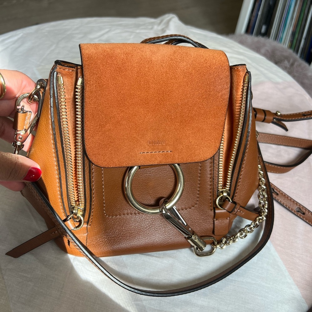 Chloe Suede Calfskin Mini Faye Backpack